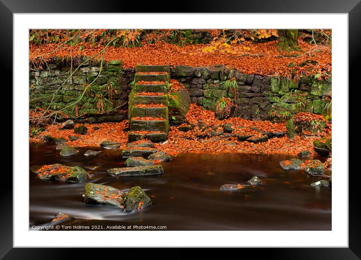 Autumn On The River Side Framed Mounted Print by Tom Holmes