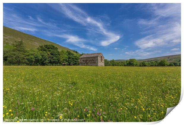 Barn In The Meadows Print by Tom Holmes