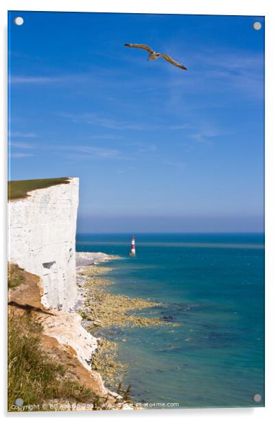 Beachy Head Cliffs and lighthouse Acrylic by Bill Allsopp