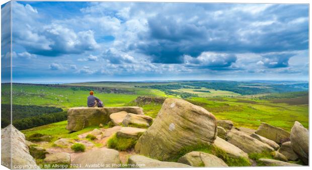 A fine view Canvas Print by Bill Allsopp