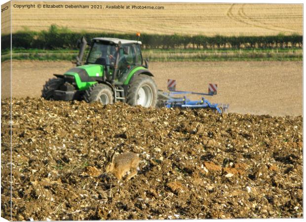 Hare racing a Tractor up a Hill Canvas Print by Elizabeth Debenham