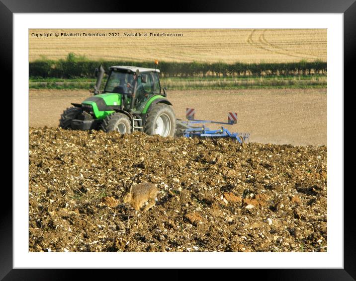 Hare racing a Tractor up a Hill Framed Mounted Print by Elizabeth Debenham