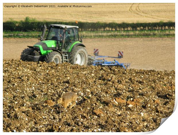 Hare racing a Tractor up a Hill Print by Elizabeth Debenham