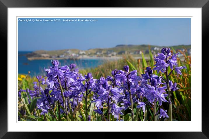 Bluebells Framed Mounted Print by Peter Lennon