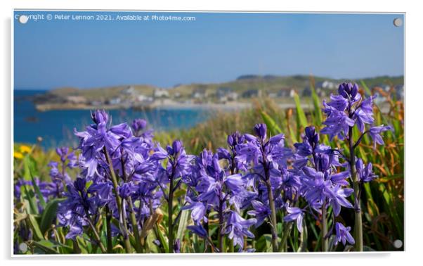 Bluebells Acrylic by Peter Lennon