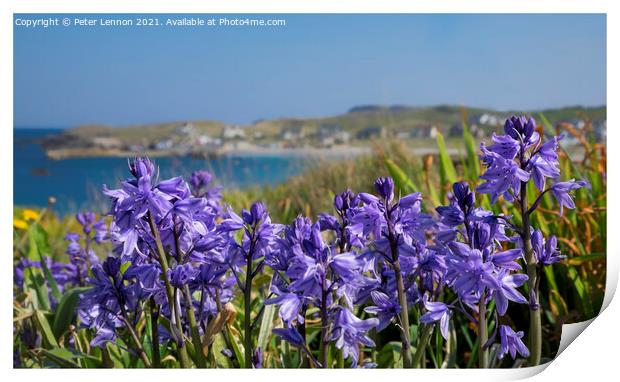 Bluebells Print by Peter Lennon