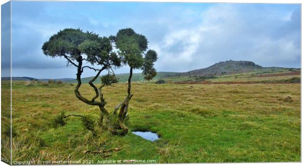Stowe's Hill, Bodmin Moor, Cornwall. Canvas Print by Neil Mottershead
