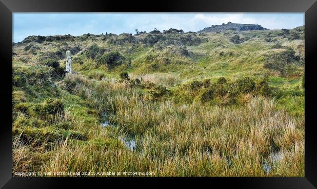 Bodmin Moor, Cornwall. Framed Print by Neil Mottershead