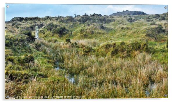 Bodmin Moor, Cornwall. Acrylic by Neil Mottershead