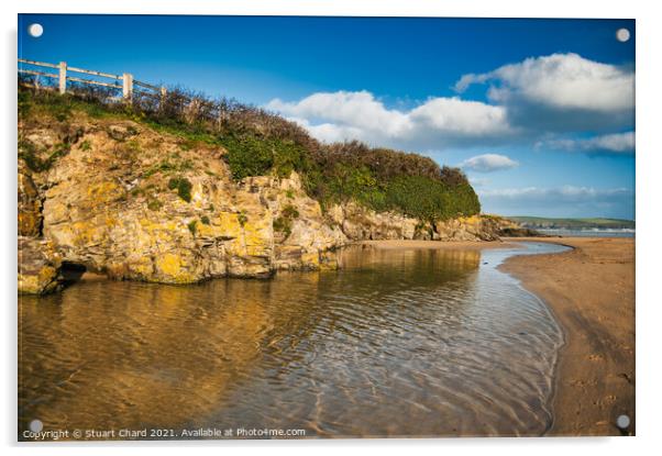 North Cornwall estuary Acrylic by Stuart Chard