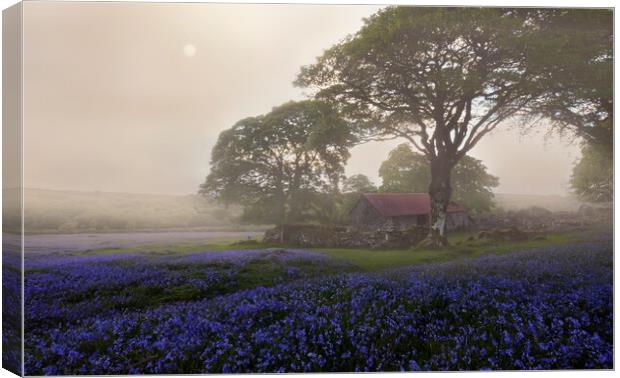 Diffused Dartmoor Canvas Print by David Neighbour