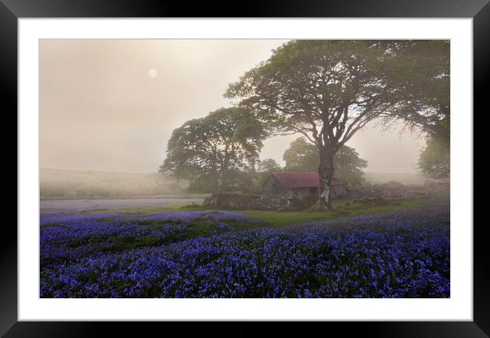 Diffused Dartmoor Framed Mounted Print by David Neighbour