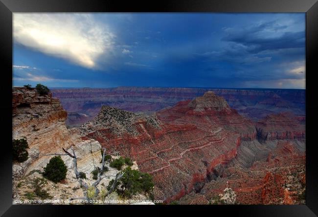 Grand Canyon Arizona, USA from near Cape Royal, North Rim Framed Print by Geraint Tellem ARPS