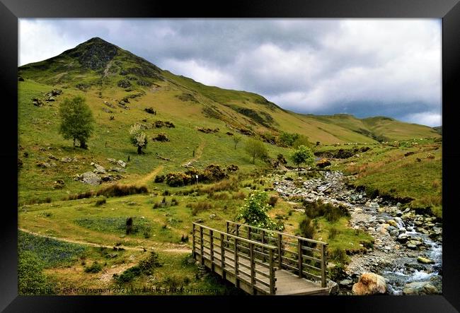 Rannerdale the Valley of Bluebells Framed Print by Peter Wiseman