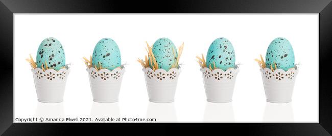 Blue Speckled Eggs Framed Print by Amanda Elwell
