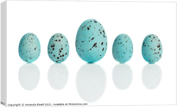Row Of Blue Eggs Canvas Print by Amanda Elwell