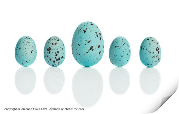 Row Of Blue Eggs Print by Amanda Elwell