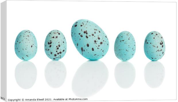 Row Of Eggs Canvas Print by Amanda Elwell