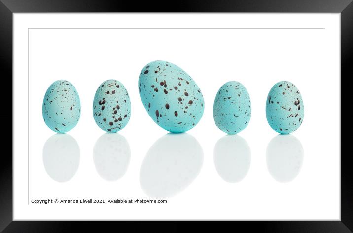 Row Of Eggs Framed Mounted Print by Amanda Elwell