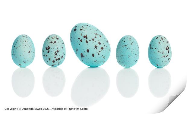Row Of Eggs Print by Amanda Elwell