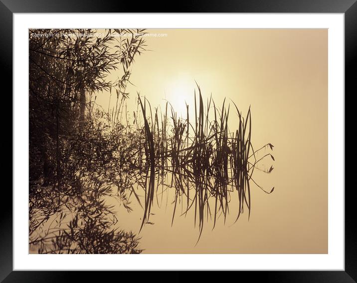 Waters Edge at Sunrise Tranquillity Framed Mounted Print by Pearl Bucknall