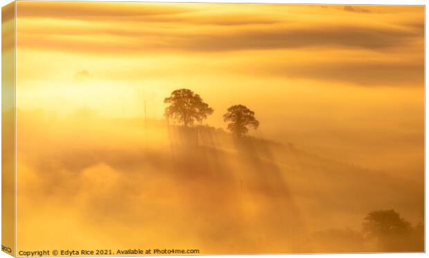 Wye Valley cloud inversion Canvas Print by Edy Rice