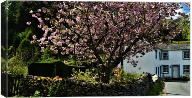  Spring in the Lake District. Canvas Print by Peter Wiseman