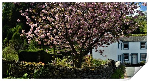  Spring in the Lake District. Print by Peter Wiseman