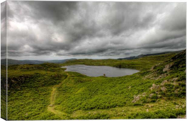 Blea Tarn at Eskdale Canvas Print by Roger Green