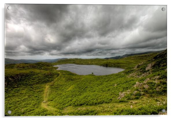 Blea Tarn at Eskdale Acrylic by Roger Green