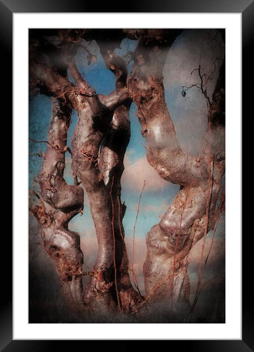 The Beauty Of Nature Framed Mounted Print by Christine Lake