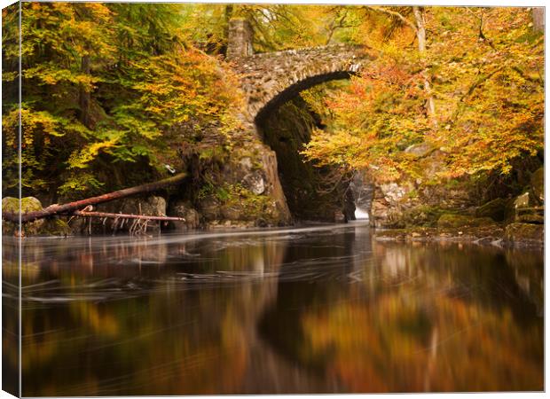 Autumn at the Hermitage. Canvas Print by Tommy Dickson