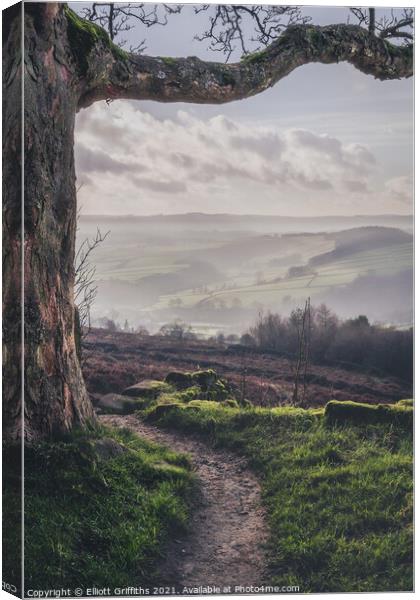 Misty Valley Canvas Print by Elliott Griffiths