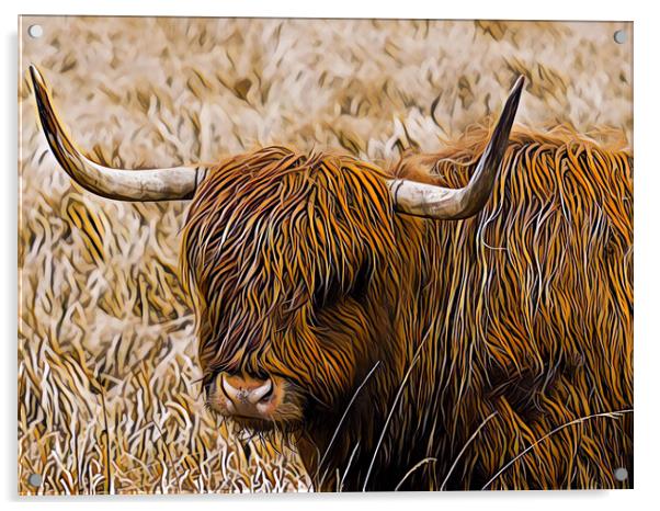 Highland Coo - Digital Art Acrylic by Tommy Dickson