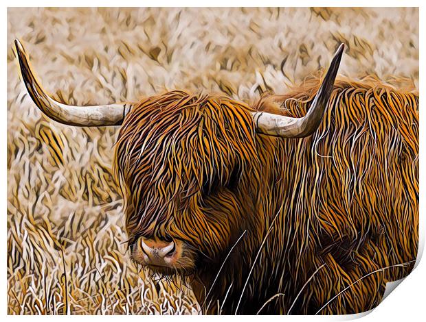 Highland Coo - Digital Art Print by Tommy Dickson