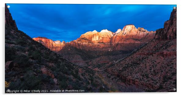 First Light, Zion National Park Acrylic by Peter O'Reilly