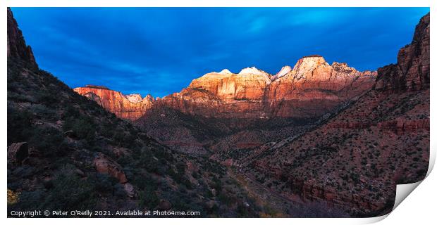 First Light, Zion National Park Print by Peter O'Reilly