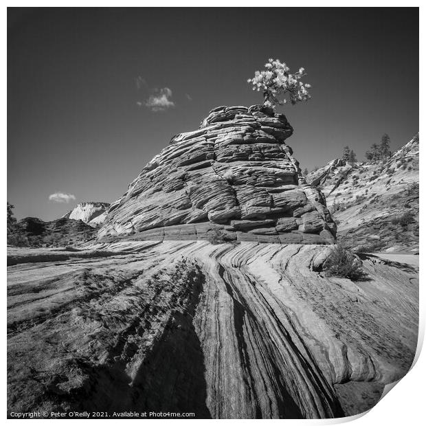 Outcrop Print by Peter O'Reilly