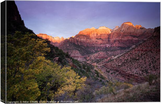 Sunrise on the Great Streaked Wall and the Sentinel, Zion Nation Canvas Print by Peter O'Reilly