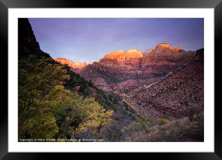 Sunrise on the Great Streaked Wall and the Sentinel, Zion Nation Framed Mounted Print by Peter O'Reilly
