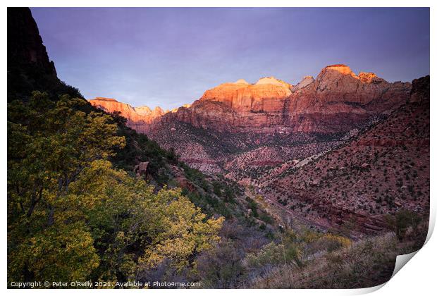 Sunrise on the Great Streaked Wall and the Sentinel, Zion Nation Print by Peter O'Reilly