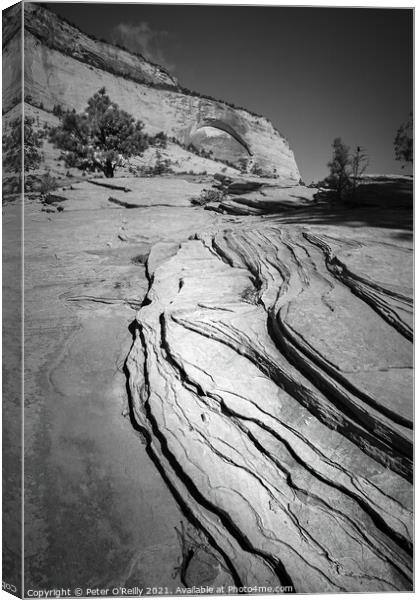 Desert Shapes Canvas Print by Peter O'Reilly