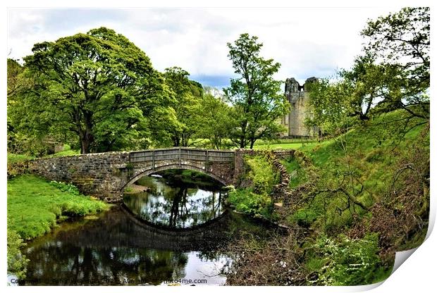 Abbey Bridge  over the River Lowther at Shap Abbey Print by Peter Wiseman