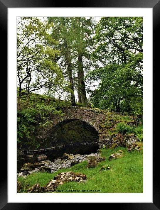 Old packhorse bridge on the River Lowther Framed Mounted Print by Peter Wiseman