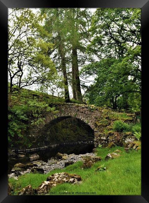Old packhorse bridge on the River Lowther Framed Print by Peter Wiseman