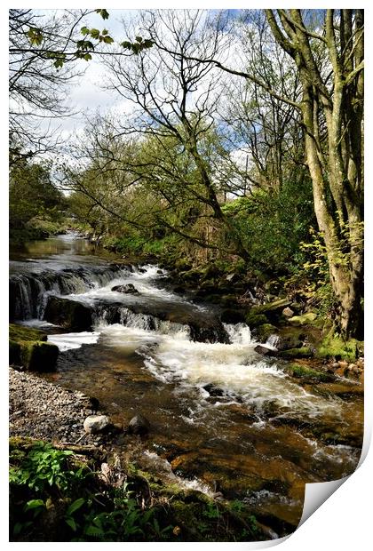 The River at Caldbeck, the Lake District, Cumbria Print by Peter Wiseman