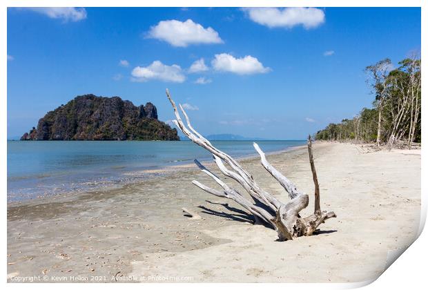 Bleached driftwood on Hua Hin beach, Trang Province, Thailand Print by Kevin Hellon