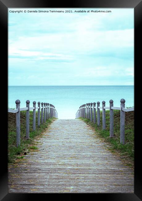 Rugen island footpath toward the sea. Baltic sea scenery. Framed Print by Daniela Simona Temneanu