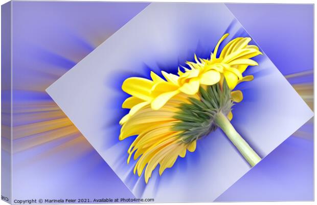 Yellow and blue Canvas Print by Marinela Feier