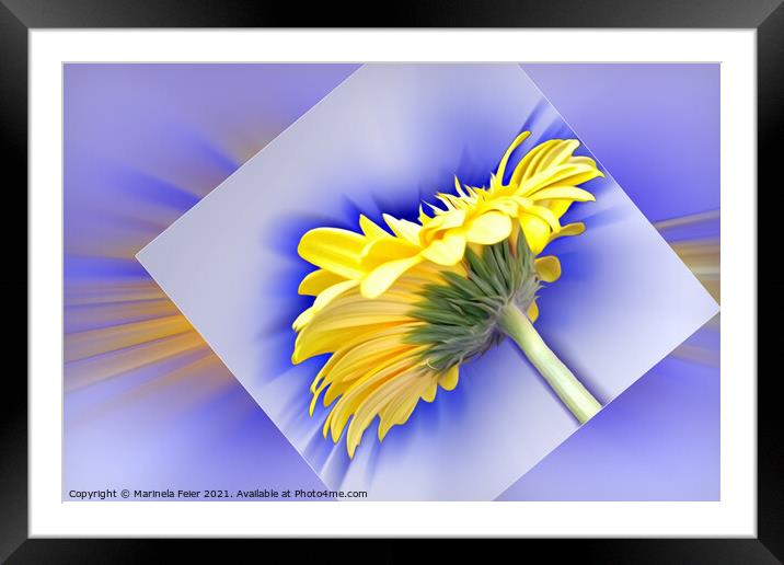 Yellow and blue Framed Mounted Print by Marinela Feier